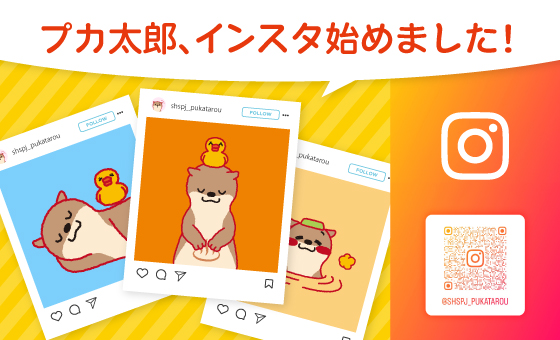 Instagram開設しました！