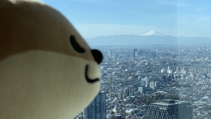 プカ太郎くんが行く！のインタビュー記事を更新しました！